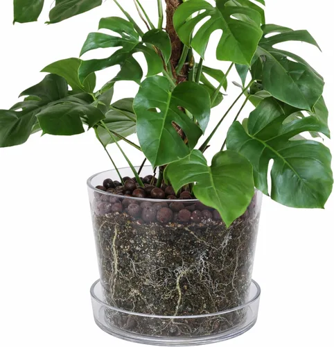 Vista 21 de Maceta Phoenix Vine de 3.5 pulgadas de acrílico transparente con bandeja, maceta para orquídeas con agujeros de drenaje, platillo profundo