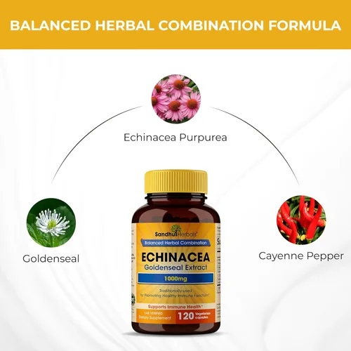 Vista 6 de SANDHUHERBALS Echinacea Goldenseal 1000 mg 120 cápsulas Apoyo del sistema inmunológico Respuesta respiratoria Suplemento de respuesta inflamatoria