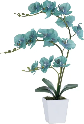 Vista 21 de Arreglos de macetas de plantas de flores de orquídea Phalaenopsis de seda artificial de 15 pulgadas de alto (verde manzana)
