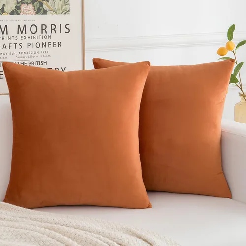 Vista 14 de Juego de 2 fundas de almohada decorativas de terciopelo, funda de cojín cuadrada suave para decoración del hogar para sala de estar, sofá o cama