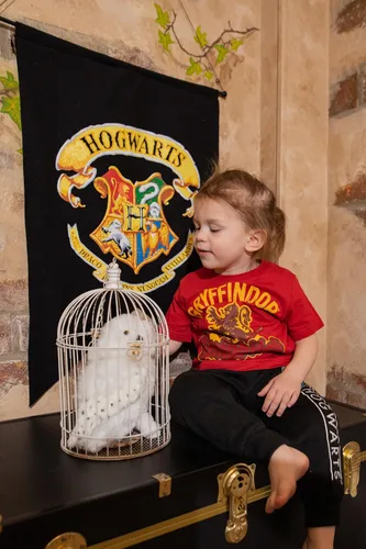 Vista 2 de Harry Potter Hogwarts - Paquete de 3 camisetas gráficas para niños pequeños, color rojo, negro y gris, talla 4T, Rojo, negro y gris.