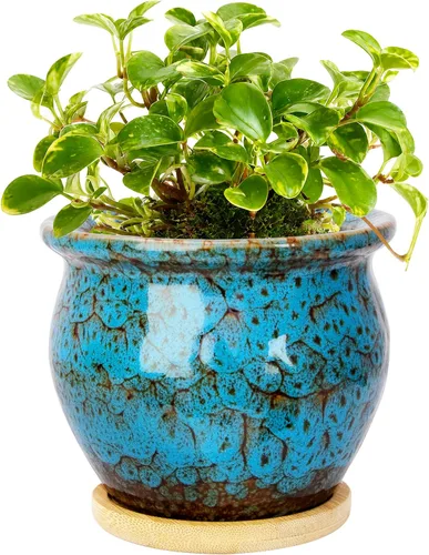 Vista 12 de ARTKETTY Macetas de 4.5 pulgadas con drenaje, pequeñas macetas de cerámica para plantas de interior Rojo