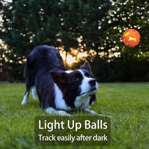 Vista 4 de Leejec Juguetes para perros, bolas interactivas iluminadas de 2.5 pulgadas, juguetes masticables para razas medianas y pequeñas, bolas