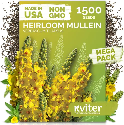 Vista 19 de KVITER 1000 semillas de quinua de cordero (Chenopodium Album) - Hierbas comestibles autóctonas, ideales para jardines de hierbas orgánicas