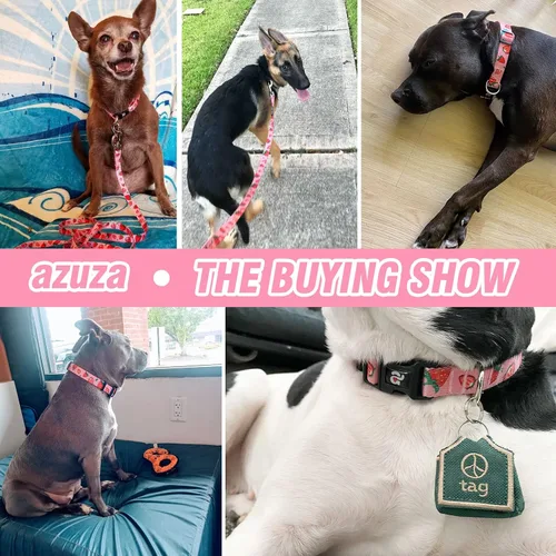 Vista 6 de azuza Juego de collar y correa para perro, collar de nailon y correa a juego para perros pequeños, fresa