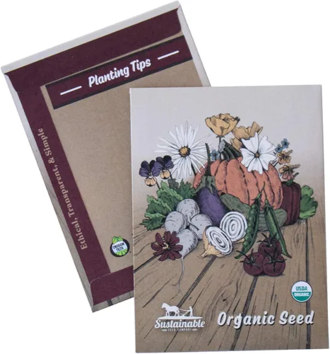 Vista 2 de Semillas de tomate con pasta húngara orgánica ~ 25 semillas – Semillas orgánicas, reliquias, polinizadas abiertas, sin OMG, semillas de jardinería