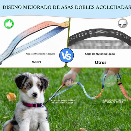 Vista 4 de Roses&Poetry - Correa para perros manos libres con bolsa con cremallera, correa elástica de 1.83-2.74m para perros medianos y grandes, correa