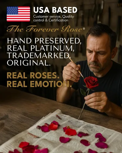Vista 3 de Forever Rose Rosa real de dos tonos púrpura con pétalos ribeteados en platino y tallo de platino, rosa preservada hecha a mano en lujosa caja