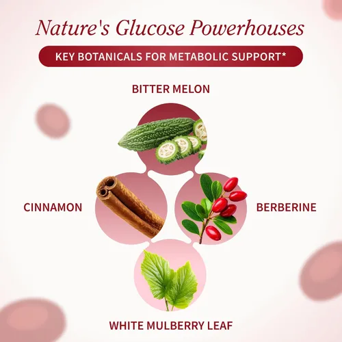 Vista 3 de Snap Supplements Mezcla de azúcar en sangre con berberina, CoQ10, canela, ácido alfa lipoico y Gymnema para apoyar el azúcar en sangre ya saludable