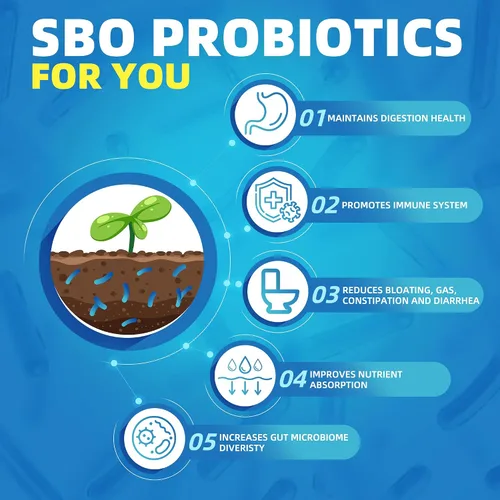 Vista 2 de NATURE TARGET Probióticos para mujeres y hombres, prebióticos y probióticos para la salud intestinal, 60 mil millones de UFC - 88 cápsulas