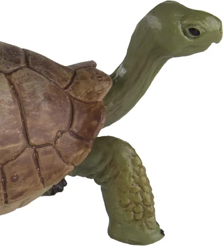 Vista 5 de Safari Ltd. Figura de tortuga gigante – Figura realista de 3 pulgadas – Juguete educativo para niños, niñas y niños a partir de 3 años