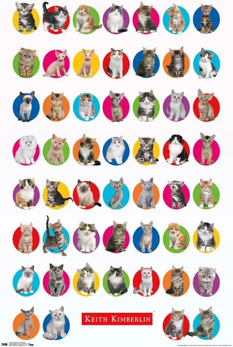 Vista 14 de Trends International Keith Kimberlin - Póster de pared de cuadrícula de gatito, 14.725 x 22.375 pulgadas, versión enmarcada de madera de granero