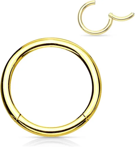 Vista 71 de Forbidden Body Jewelry - Piercing para la nariz de acero quirúrgico 316L con bisagra, 14G, 16G, 18G, diámetro de 15/64, 5/16, 25/64, 15/32 pulgadas