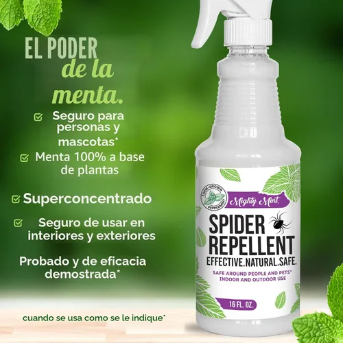 Vista 7 de Spray repelente de arañas con aceite de menta de Mighty Mint – Control natural de insectos para interiores y exteriores para arañas e insectos