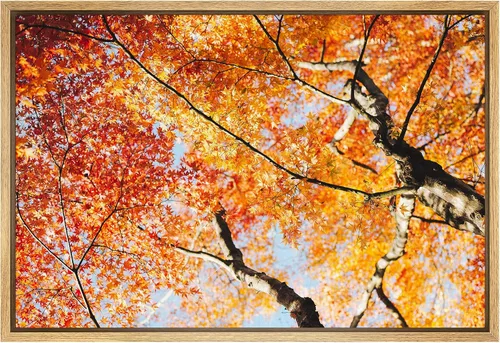 Vista 37 de SIGNFORD Lienzo impreso para pared, puesta de sol, campo de girasol, naturaleza, desierto, paisaje decorativo, relajante, tranquilo, para sala