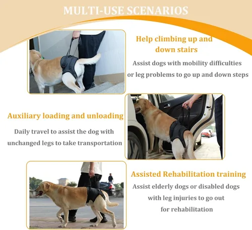 Vista 5 de Arneses tipo halter para perros, arnés de elevación ajustable para perros grandes, cabestrillo para perros medianos, soporte de pierna trasera