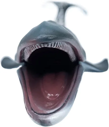 Vista 9 de Figura de acción de tiburón ballena azul, figura de tiburón de vida marina, animal marino realista, ideal para juguetes de baño, juguete de playa