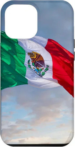 Vista 25 de iPhone 16 Mexico Flag Graphic Mexican Case