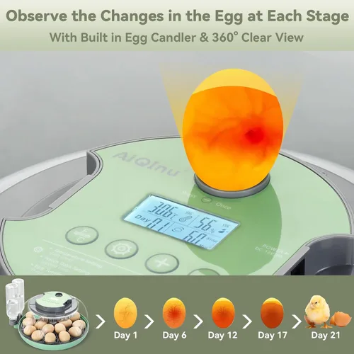 Vista 6 de Incubadora de 18 huevos con giro automático de huevos para incubar pollo codorniz pato Hatching Unit with Digital Control & Built-in Candler, 2