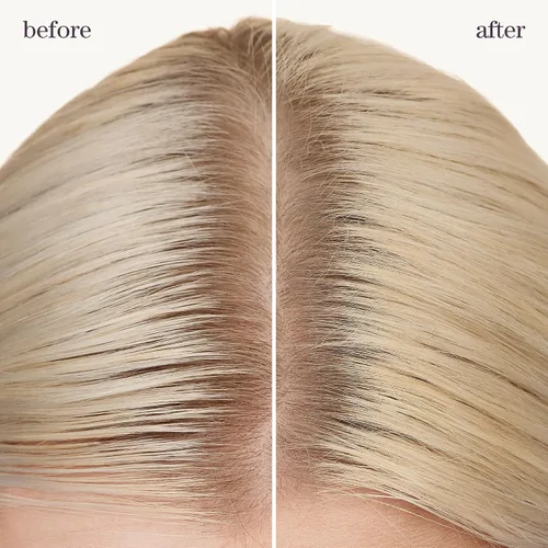 Vista 6 de Pureology Champú Style + Protect Refresh & Go Dry Para cabello teñido Vegano