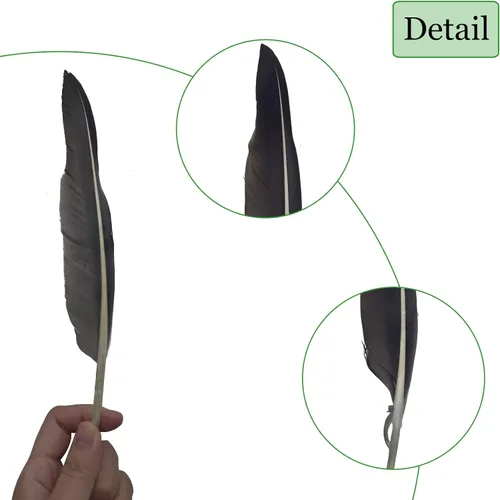 Vista 3 de LWINGFLYER 25 plumas de ganso de 10 a 12 pulgadas de largo para bolígrafos, manualidades, festivales, Halloween, sombreros, decoraciones de Natural