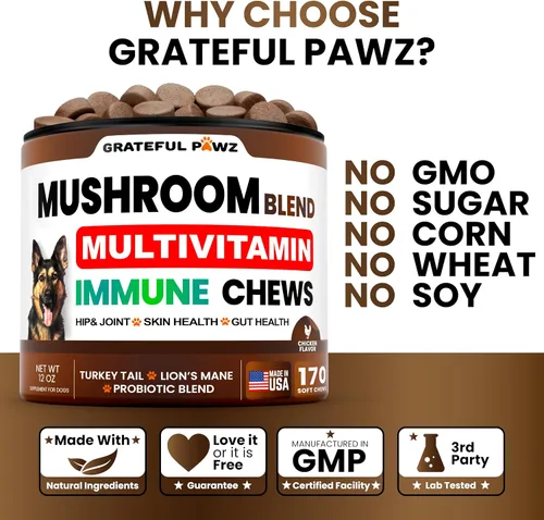 Vista 4 de Suplemento de hongo de cola de pavo para perros, 170 masticables, hongos para perros, Reishi, melena de león, multivitamínico de glucosamina