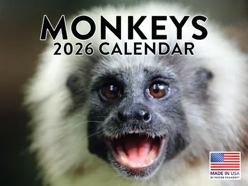 Vista 85 de Calendario mensual de pared de alpaca 2025 Fabricado en Estados Unidos