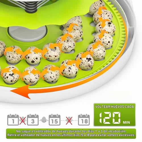 Vista 3 de Incubadora de huevos de codorniz 40 con huevos de control de humedad