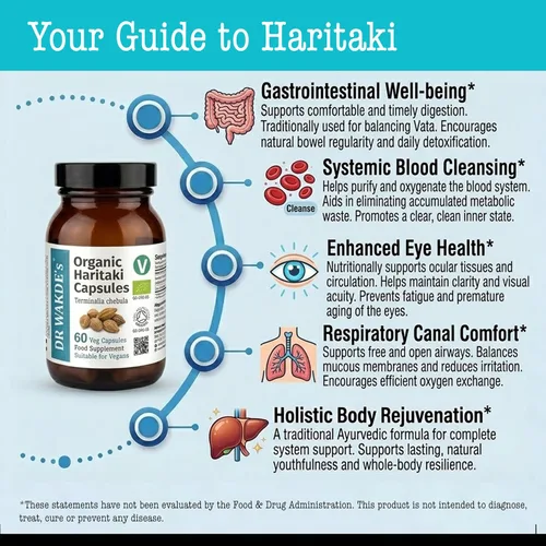 Vista 4 de DR WAKDE'S® Cápsulas Haritaki (Terminalia chebula/Hirda) I 100% Herbal I 60 Cápsulas Vegetales I Suplemento ayurvédico I Descuentos por cantidad I