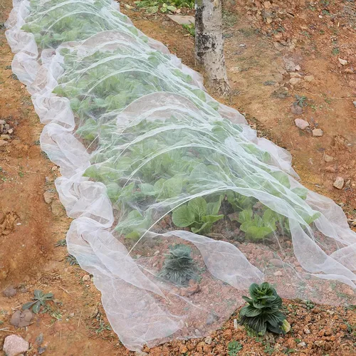 Vista 6 de Barrera de malla de jardín de 10 x 25 pies, red de plantas de árboles frutales para vegetales, arbustos de arándanos, cubierta de fila, protección
