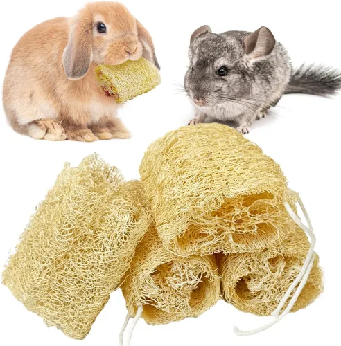 Vista 9 de BNOSDM Juguetes masticables de conejo, esponja natural, 6 piezas de dientes de conejo, juguete para moler conejo, golosinas ricas en fibra