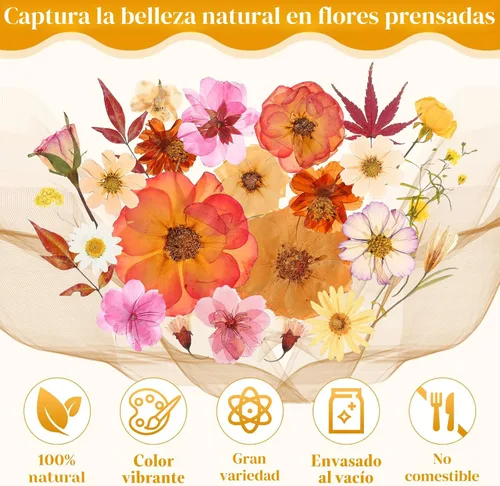 Vista 7 de Flores secas prensadas para resina, flores prensadas reales, hojas secas, kit de hierbas naturales a granel para álbumes de recortes, manualidades
