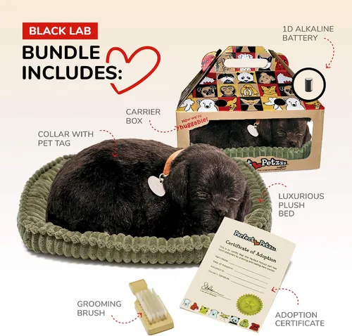 Vista 2 de Perfect Petzzz - Original Petzzz Labrador negro, realista, juguete de mascota de peluche interactivo hecho a mano al 100% con piel sintética