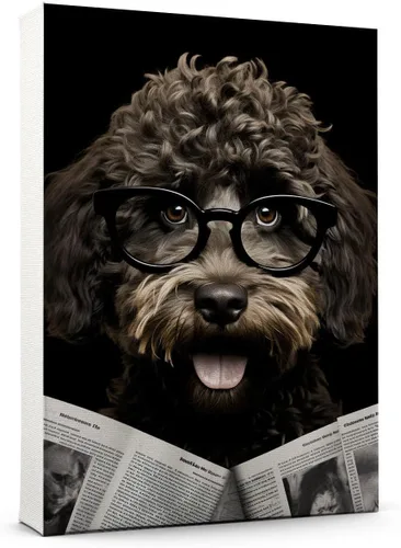 Vista 172 de Thuan Affenpinscher - Póster de lienzo con tus fotos, arte de pared para decoración del hogar, regalo conmemorativo para amantes de las mascotas