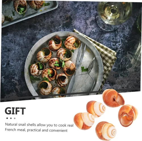 Vista 7 de PRETYZOOM Conchas de caracol francés, caracol extra grande, conchas de caracol Escargot, conchas de caracol decorativas, conchas gigantes, conchas