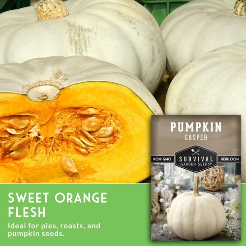 Vista 6 de Survival Garden Seeds - Semillas pequeñas de calabaza de azúcar para plantar - 1 paquete con instrucciones para cultivar calabazas de pastel