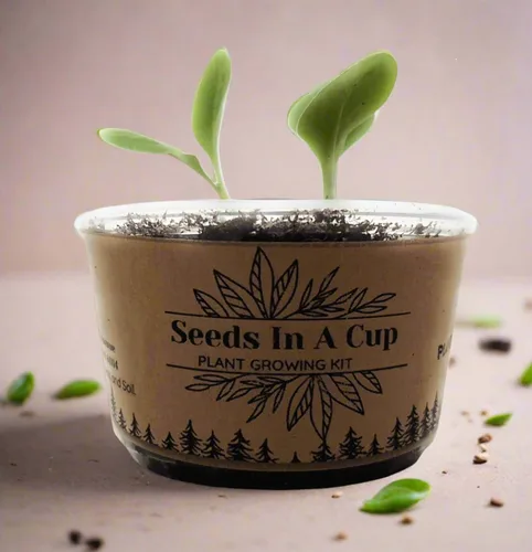 Vista 7 de Semillas en una taza - Kit de cultivo de plantas (brócoli)