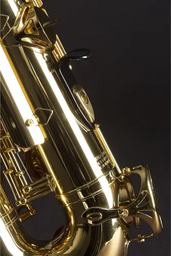 Vista 2 de YAMAHA YAS-280 Saxofones Student Saxofones Alto, llave C, oro