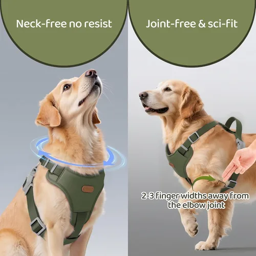 Vista 4 de Xlife Arnés para perros y gatos pequeños, arnés de chaleco ajustable sin tirones con hebilla de seguridad y anillo en D sin asfixia, fácil de poner