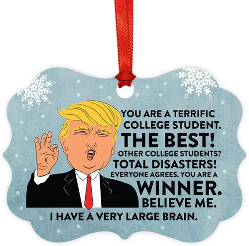 Vista 30 de Andaz Press Presidente Donald Trump Fancy Frame Recuerdo Adorno de Navidad Regalo de broma, excelente contador, 1 paquete, divertidas ideas