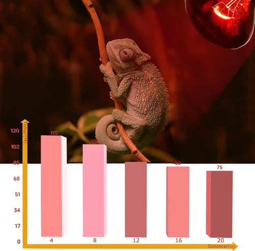Vista 7 de Lámpara de calor roja infrarroja de 60 W para reptiles, bombilla para lagartos de mascotas, dragones barbudos, camaleones y serpientes, luz emisora