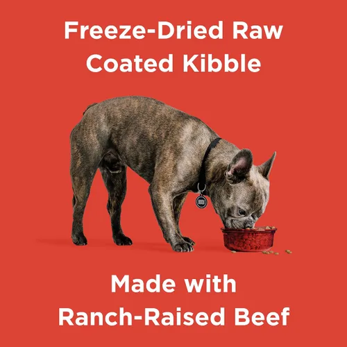 Vista 2 de Comida seca para perros BIXBI Rawbble, de ternera, 1.8 kg - Fabricado en EE. UU. sin comidas de carne ni rellenos - Comida cruda para perros