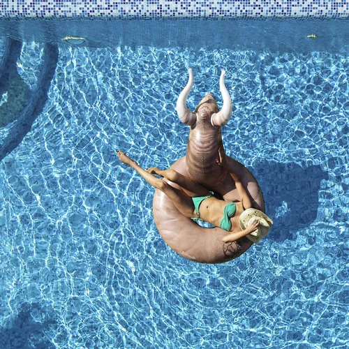 Vista 2 de GoFloats Inflatable Pool Floats