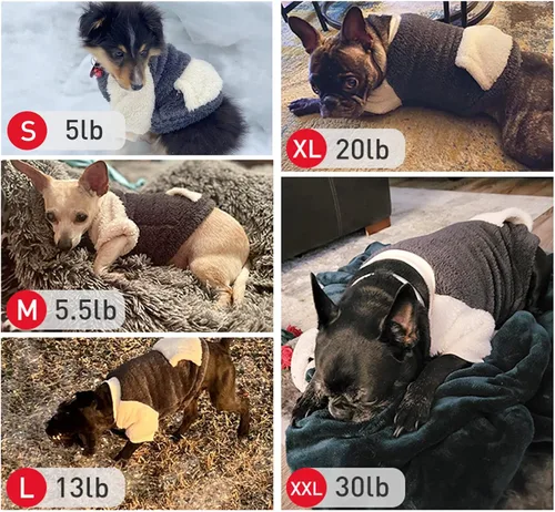 Vista 2 de LESYPET - Jersey de perro para perros pequeños a medianos, sudadera con forro polar para cachorros en invierno, ropa cálida para cachorros, jersey
