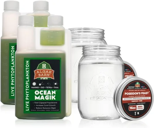 Vista 4 de AlgaeBarn Live Copepods & Phytoplancton Combo Pack Tisbe & Tigriopus Pods + fitoplancton vivo (16oz)