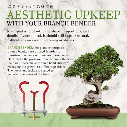 Vista 3 de BambooMN Bonsai 2 Branch Benders