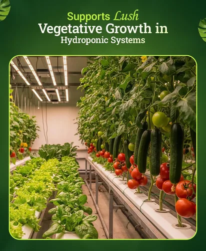 Vista 4 de Hydrofarm FX14094 Grow Big Hydro - Concentrado de alimento para plantas, 1 pinta., 1