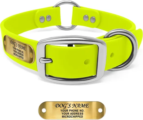 Vista 15 de Regal Dog Products Collar de Perro Naranja Mediano con Placa de Nombre Grabada Personalizada - Ajuste Personalizado, Resistente, Fácil de Limpiar