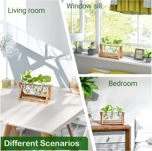Vista 7 de Estación de propagación, terrario de plantas, regalos para amantes de las plantas para mujeres, soporte de corte de plantas, decoración del hogar