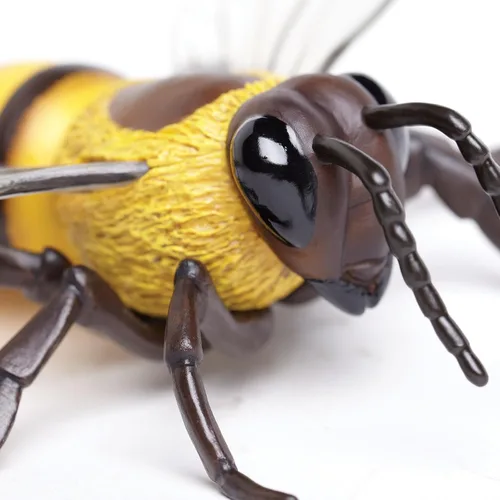 Vista 5 de Safari Ltd. Figura de abeja de miel, figura realista de modelo de 5.5 pulgadas, juguete educativo para niños, niñas y niños a partir de 3 años